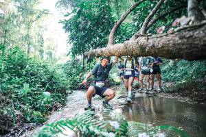 BIB: 
                            <button type="button" onclick="openModal(25445417)" class="btn btn-primary btn-sm float-right btn-popup" data-toggle="modal" data-target=".modal-high-quality">
                        <i class="fas fa-shopping-cart"></i> Add to Cart
                    </button>
                                            <button type="button" onclick="isThisMe(25445417, true)" class="btn btn-success btn-sm float-right btn-popup btn-isme hidden" data-toggle="tooltip" data-placement="bottom" title="นี่คือรูปของคุณใช่ไหม คลิกที่นี่เพื่อเอาเข้าอัลบั้ม">
                        <i class="fas fa-plus"></i> Add to album
                    </button>
                    <button type="button" onclick="isThisMe(25445417, false)" class="btn btn-warning btn-sm float-right btn-popup btn-isnotme hidden">
                        <i class="fas fa-ban"></i> Remove from album
                    </button>